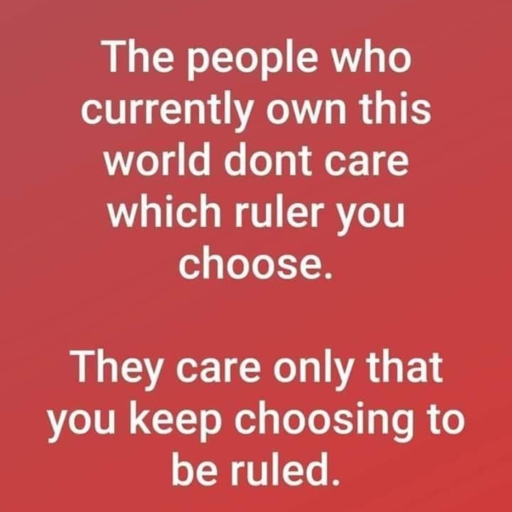 Truth - Picture 1 of 1